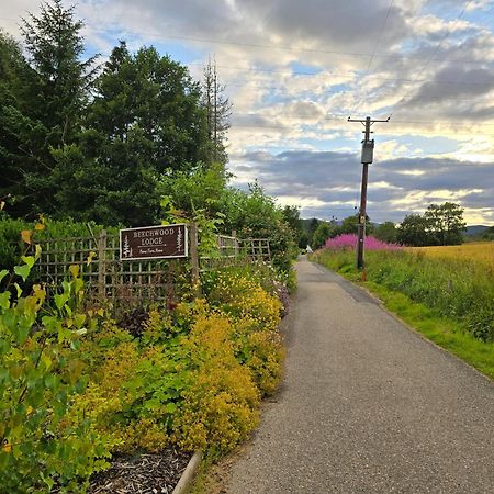 Beechwood Lodge Guesthouse Alness Bagian luar foto
