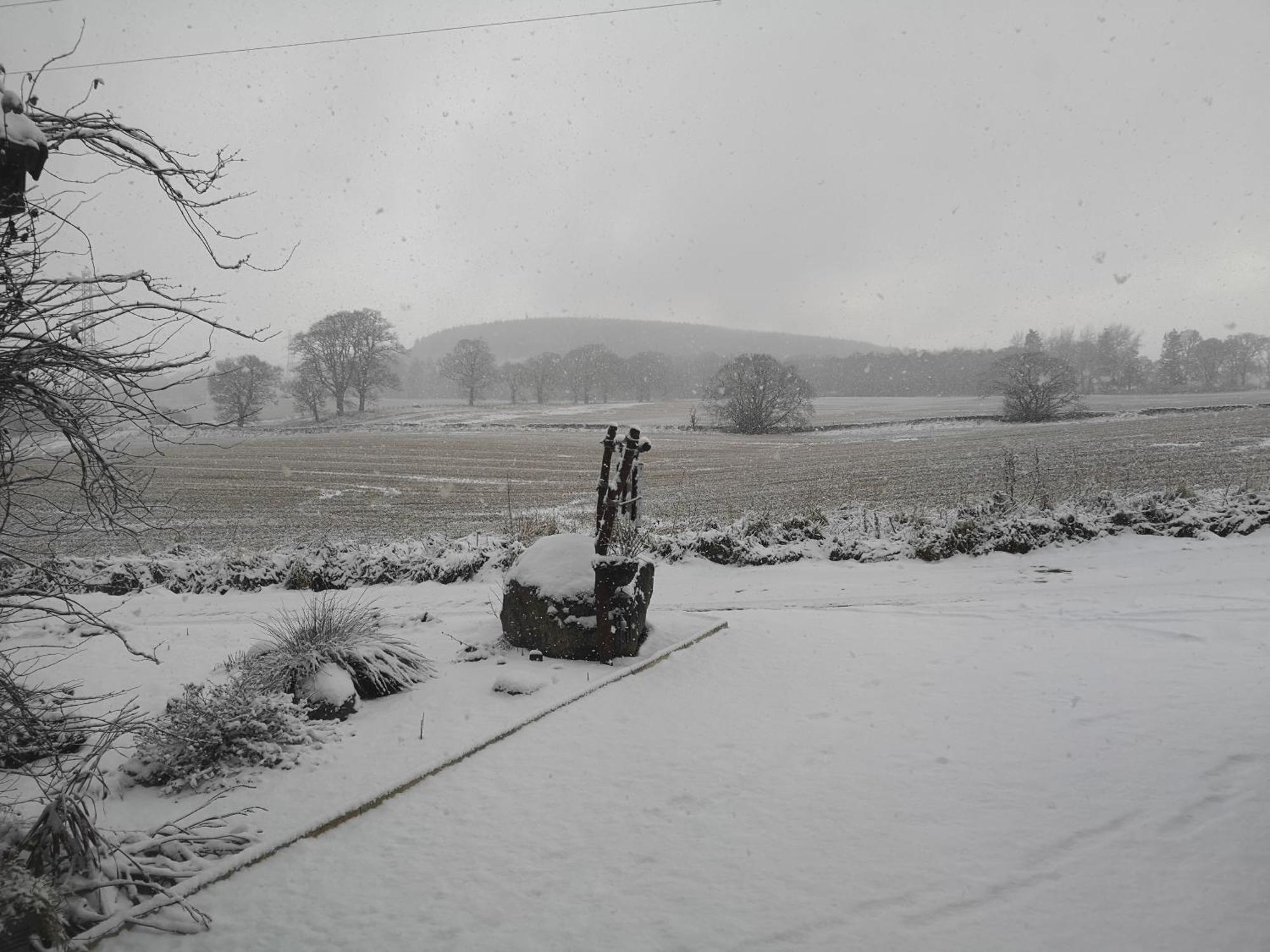 Beechwood Lodge Guesthouse Alness Bagian luar foto
