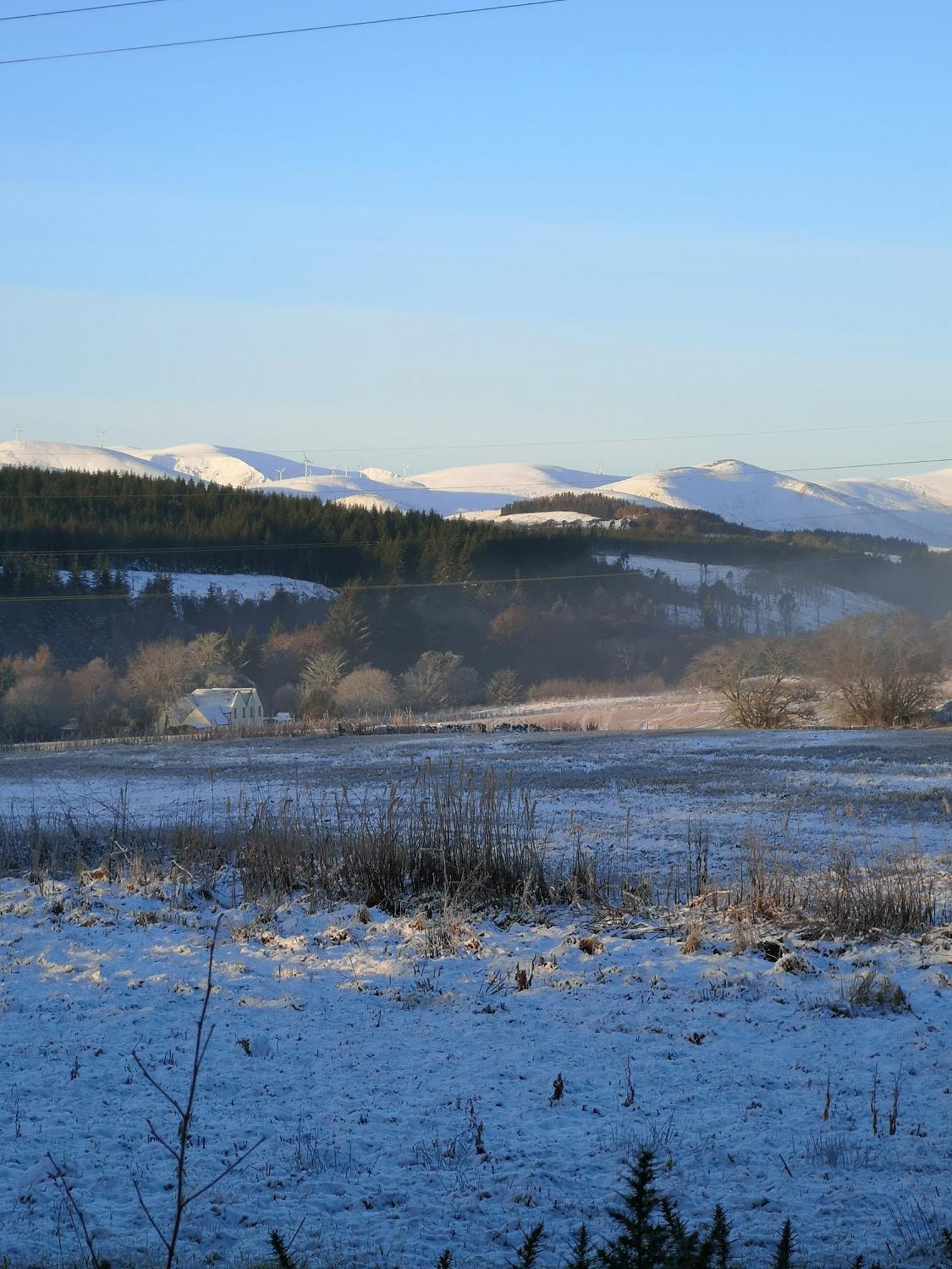 Beechwood Lodge Guesthouse Alness Bagian luar foto