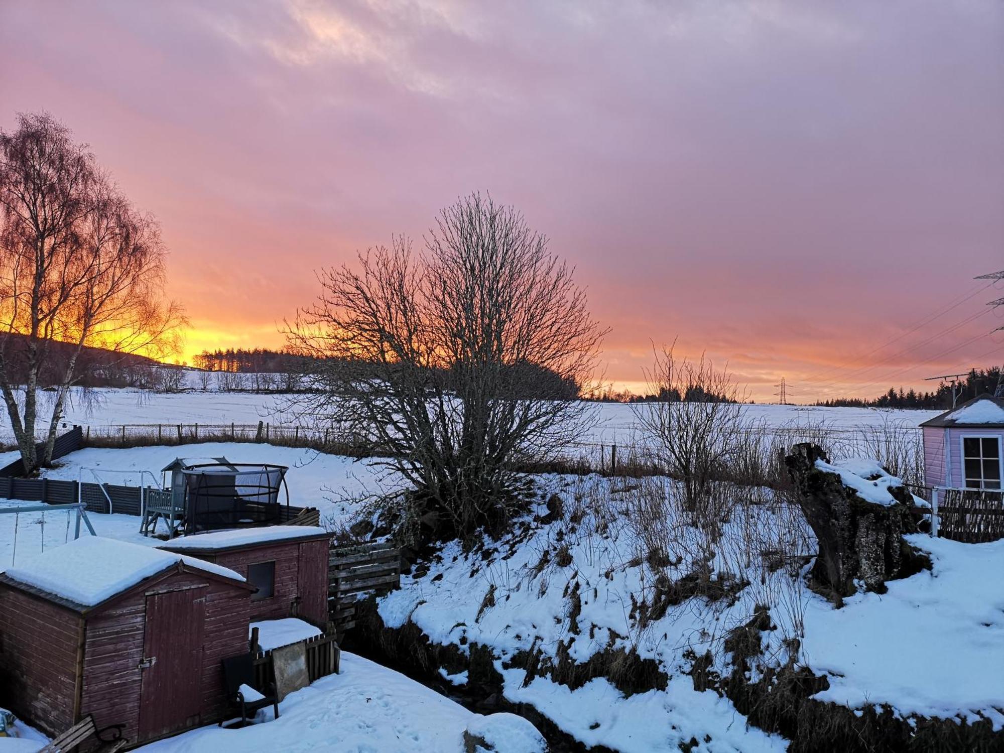 Beechwood Lodge Guesthouse Alness Bagian luar foto