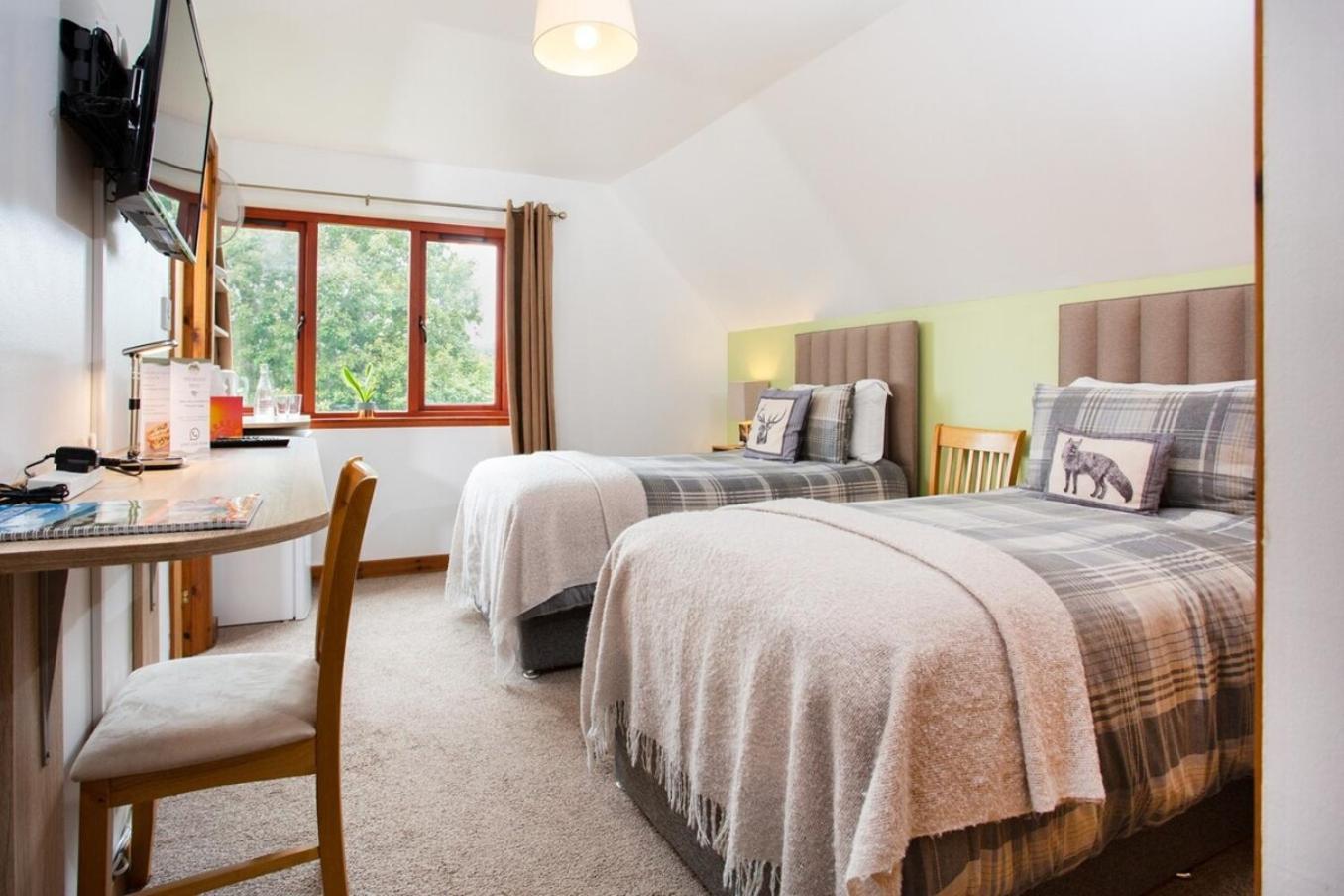 Beechwood Lodge Guesthouse Alness Bagian luar foto