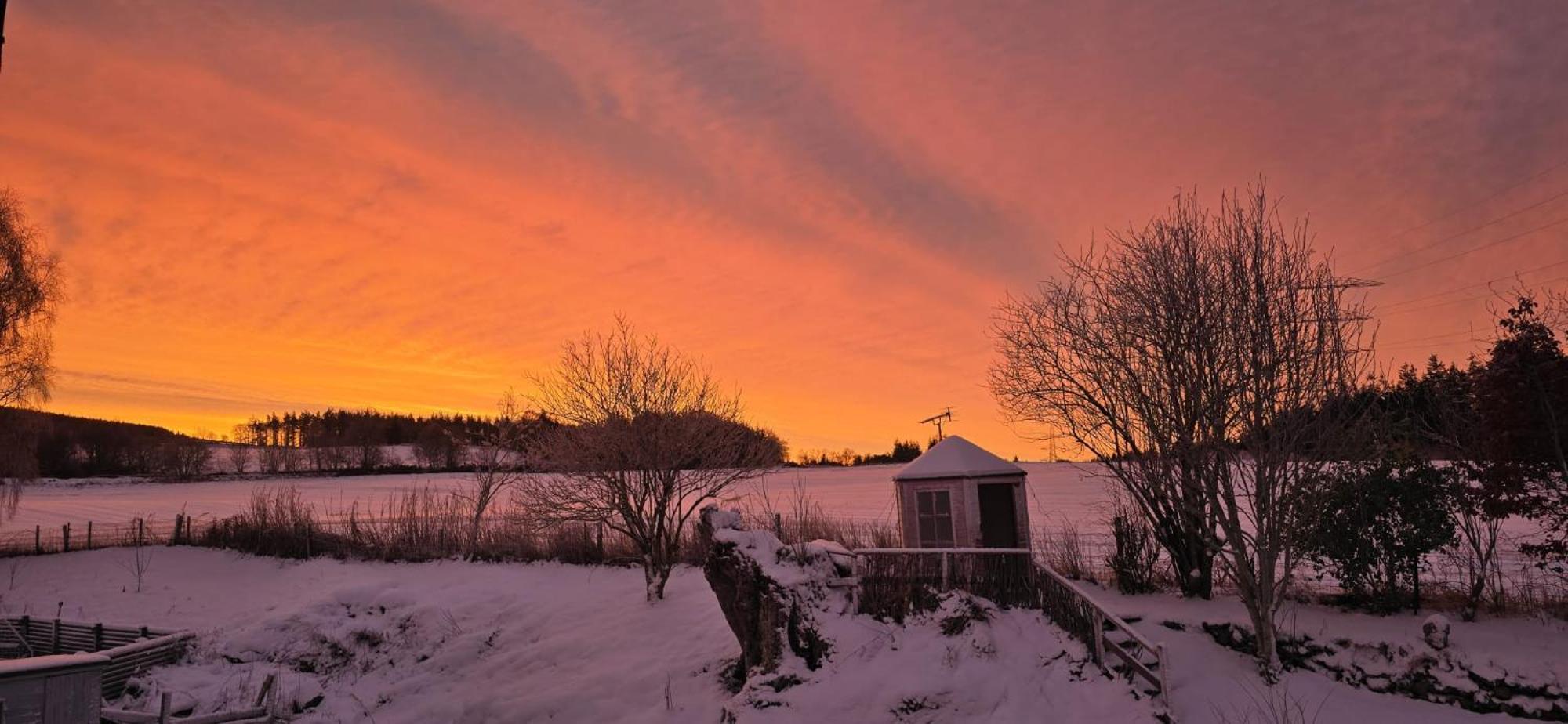 Beechwood Lodge Guesthouse Alness Bagian luar foto