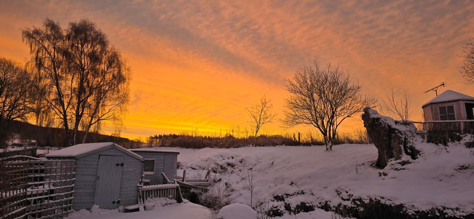 Beechwood Lodge Guesthouse Alness Bagian luar foto