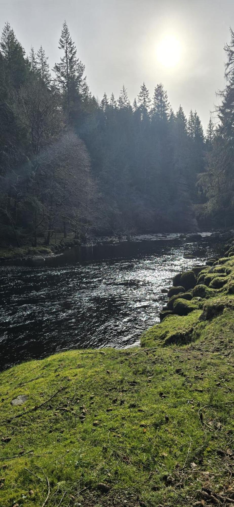 Beechwood Lodge Guesthouse Alness Bagian luar foto