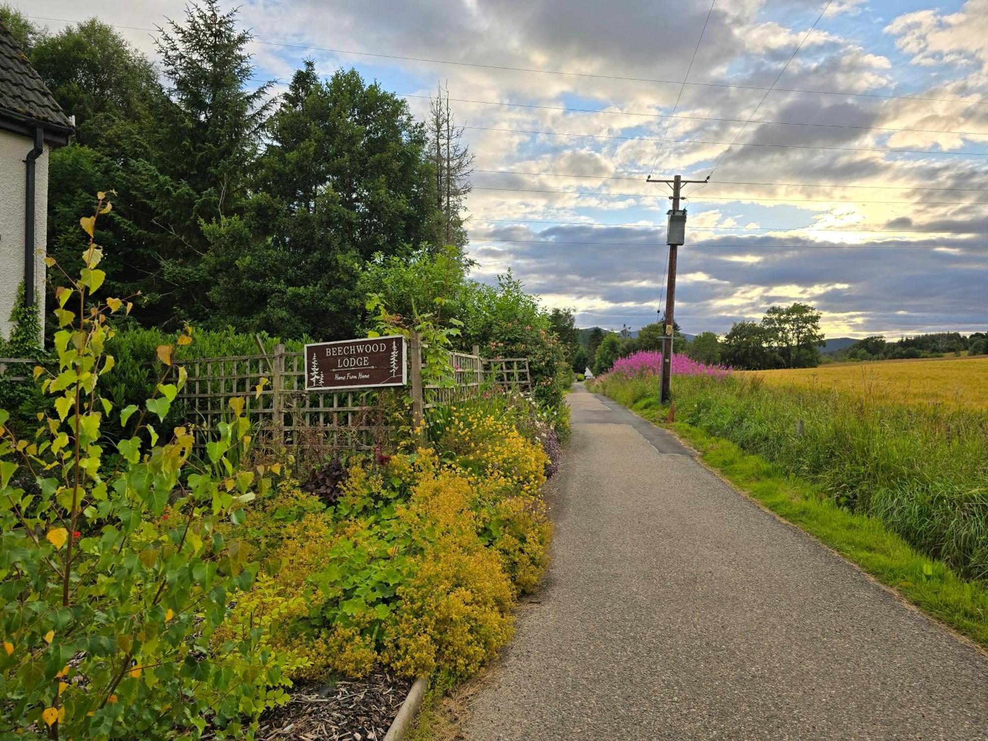 Beechwood Lodge Guesthouse Alness Bagian luar foto